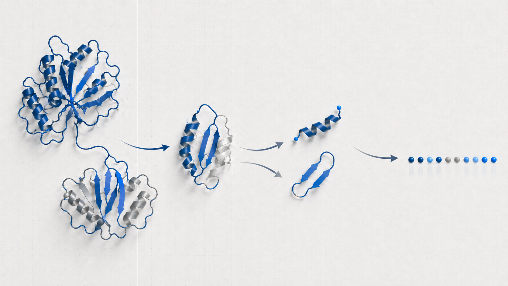 Engineering proteins through reductive strategies — distilling complex protein structures into short motifs, minimal domains, and evolutionary constraints